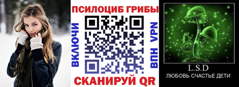 Галлюциногенные грибы Psilocybe  Сорск 